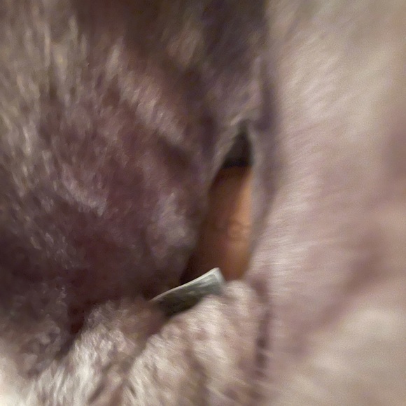 Boots by Ugg - Picture 7 of 8